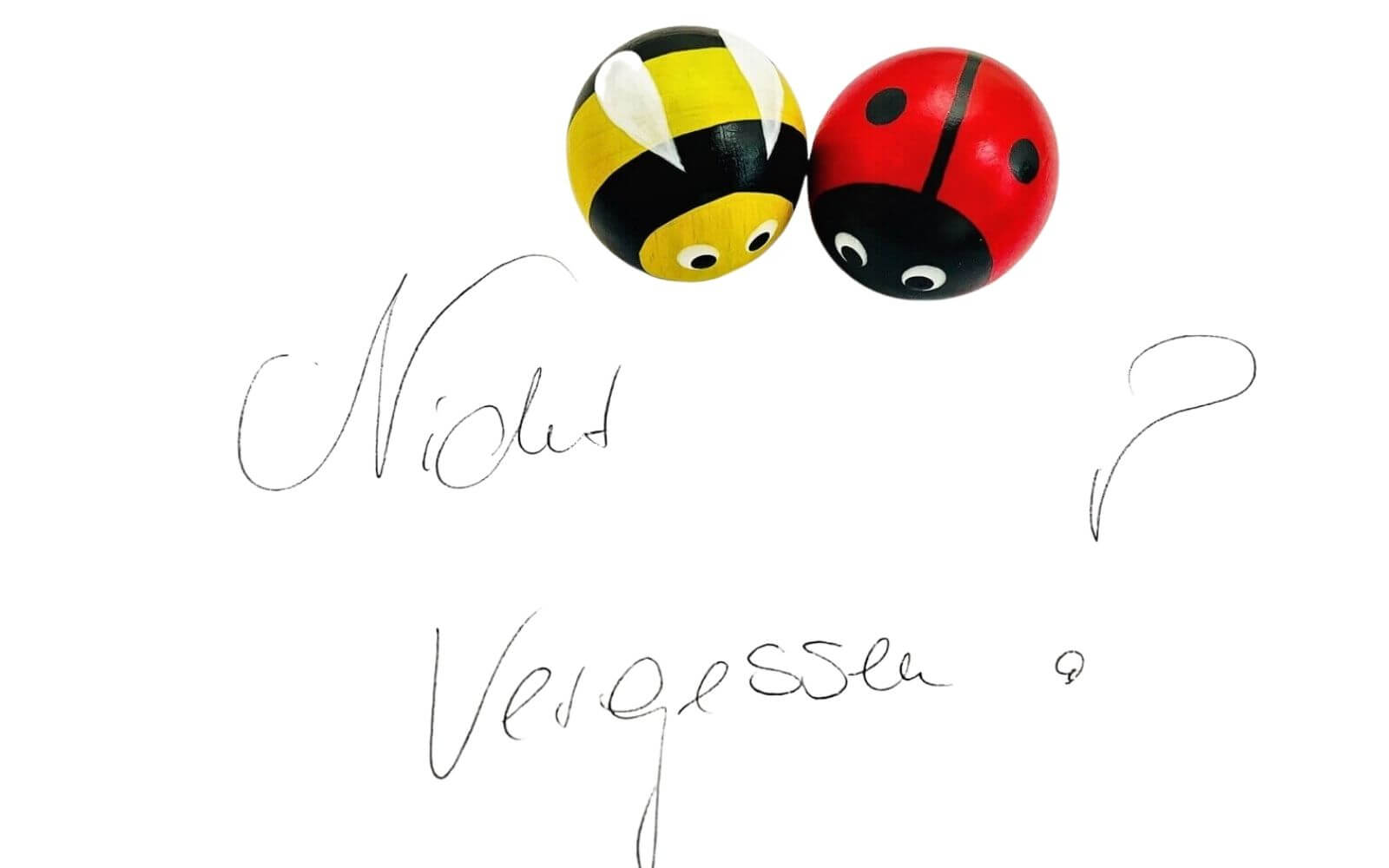 Magnet pin set beetle & bee by Figurenland Uhlig GmbH_4